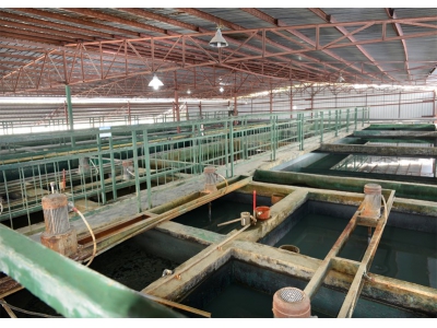 东莞品升电子有限公司：3000m3/d废水处理及回用工程